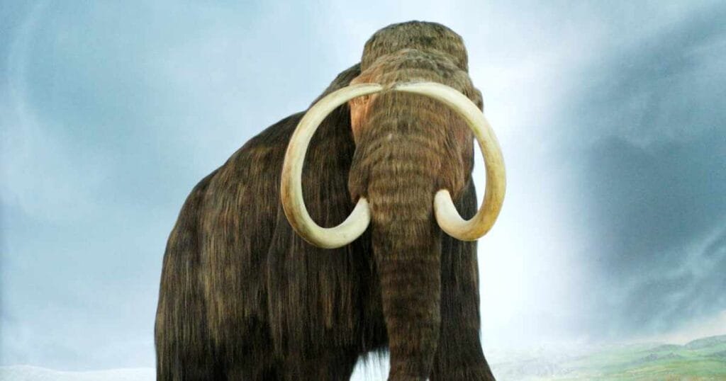 Hunting To Extinction New research suggests that overhunting by humans was not responsible ...