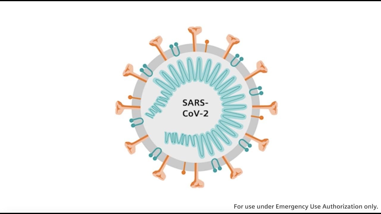 Illustration of SARS-CoV-2 virus structure.