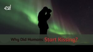 Couple kissing under northern lights with questioning text.