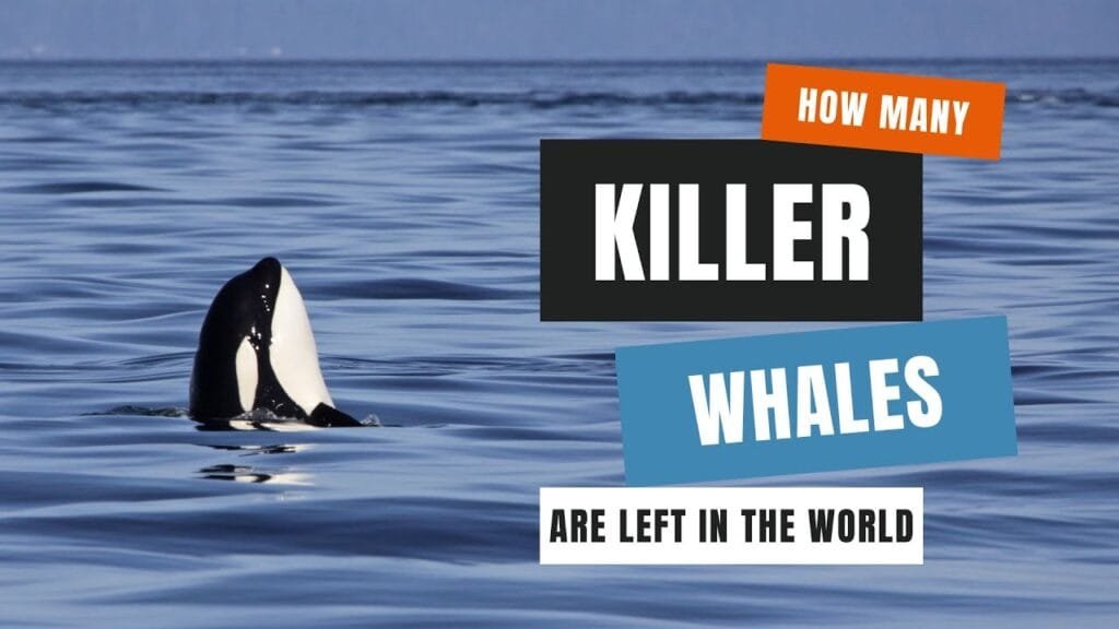 When Is Oyster Season Key Times For The Freshest Harvest SuchScience when-is-oyster-season-key-times-for-the-freshest-harvest-suchscience