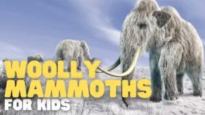 Woolly mammoths in snowy landscape, educational for kids.