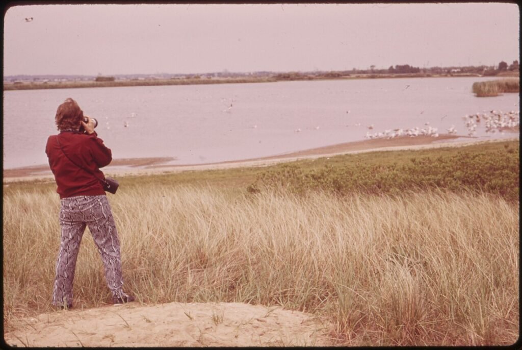 BIRD-WATCHING AT THE JAMAICA BAY WILDLIFE REFUGE - NARA - 547849