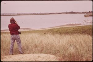 BIRD-WATCHING AT THE JAMAICA BAY WILDLIFE REFUGE - NARA - 547849